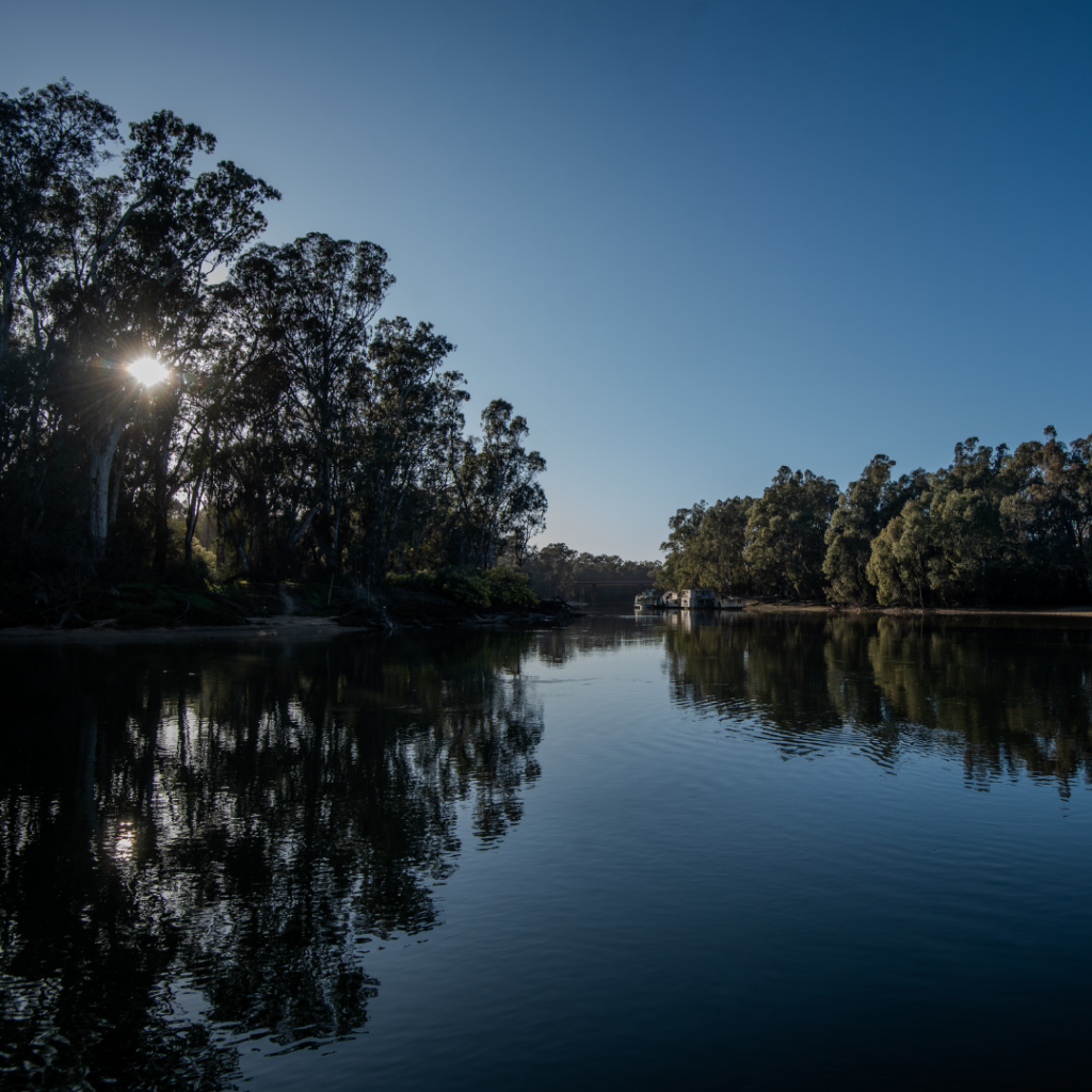 2025 EatWell Christmas